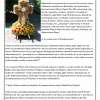bulletin, page 7