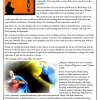 bulletin, page 3