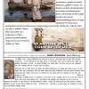 bulletin, page 4