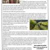 bulletin, page 3